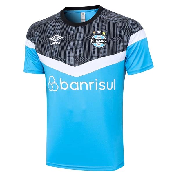 Camiseta Entrenamiento Gremio 2023/24 Gris Azul